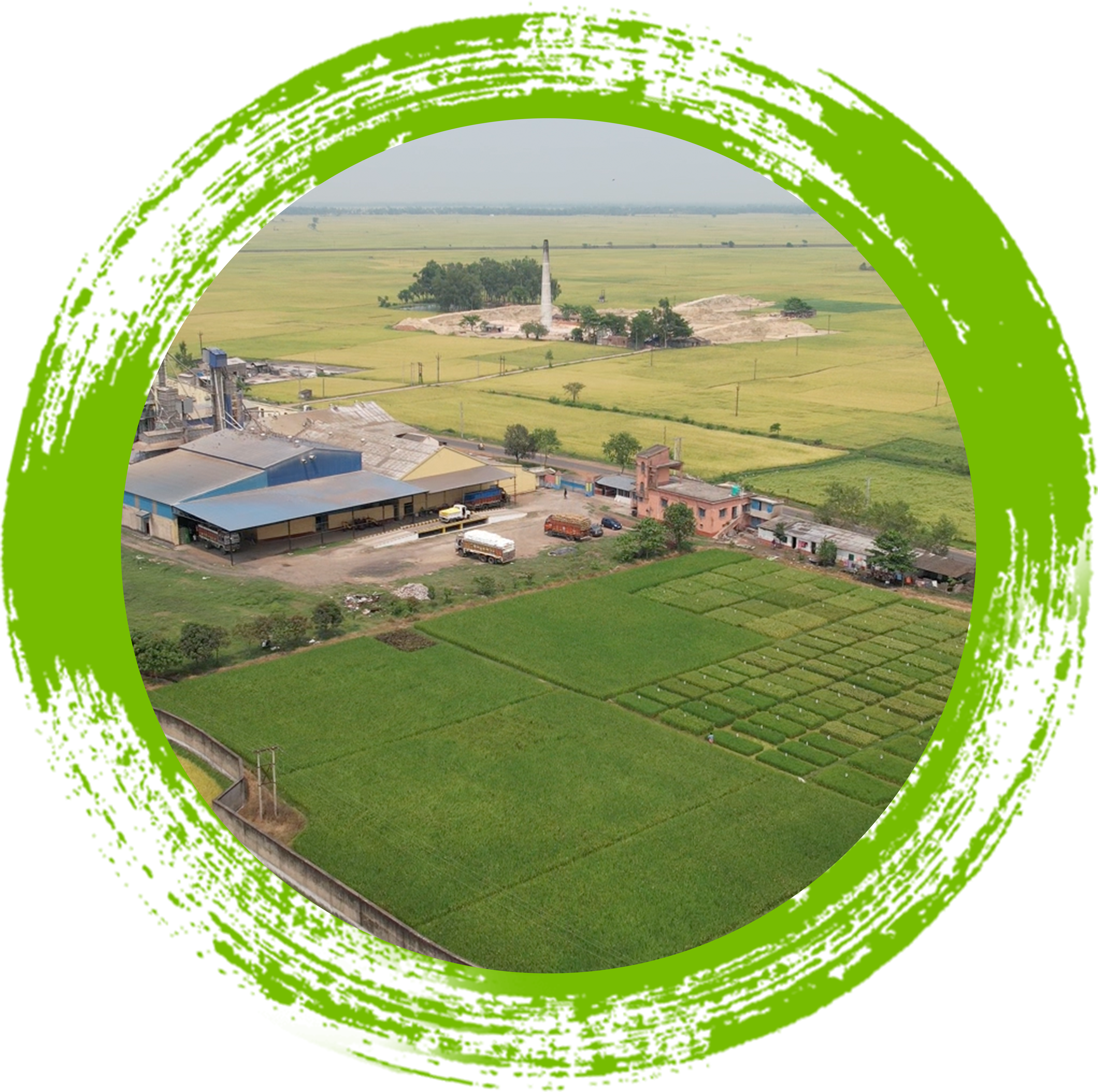 Agriculture